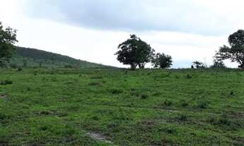 Imagem 3: Encontre a sua Fazenda aqui