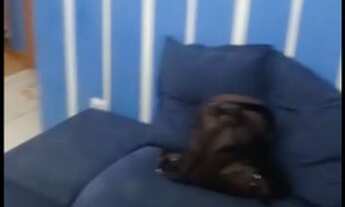 Imagem 4: Agio apartamento jardin patricia