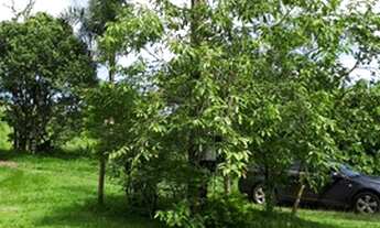 Imagem 3: Chacara 46.000 mil m² bairro Santana - Piracicaba - SP