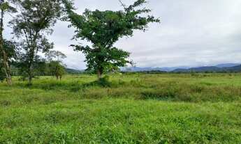 Imagem 3: Fazenda 32 alqueires Área Plana ( Willian Ricardo