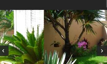 Imagem 7: Casa para venda 3 quartos em Parque Franceschini - Sumaré - SP