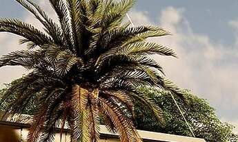 Imagem: Terreno em Condomínio para Venda em Parnamirim