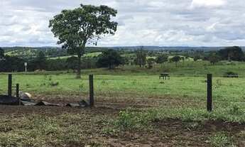Imagem 2: Sítio para venda com 580800 m2 Municipio de Corumbá Goiás