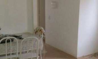 Imagem 6: APARTAMENTO A VENDA NA VILA NOVA CURUÇA