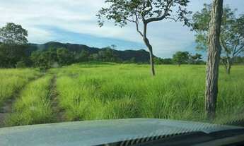 Imagem: Fazenda 45 alqueires em Cavalcante Goiás