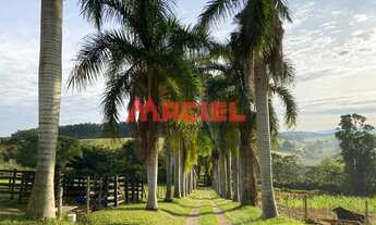 Imagem 2: Venda - RURAL (fazenda, sítio e chácara) - ESPIRITO SANTO - PARAIBUNA - AT 32000 M² - AC 8