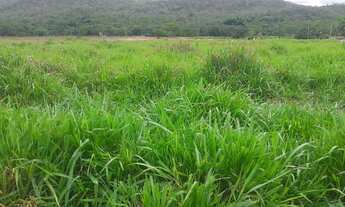 Imagem 2: Vendo Fazenda entre São Miguel do Passa 4 e Vianopolis - GO