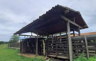Imagem 7: Fazenda com 285 hectares em cajazeiras