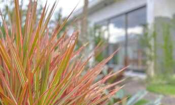 Imagem 4: Casa de 2 dormitórios à Venda - Xangri-lá