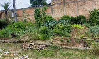 Imagem 5: Vende-se chácara documentada em Mandirituba/PR