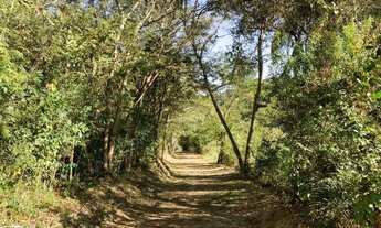 Imagem 4: Sitio de 8ha à venda em Florestal