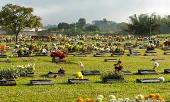 Imagem 3: Parque das Paineiras - Cemitério Regional