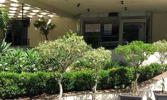 Imagem 3: Loja no Centro Galpão / depósito com 4 vagas na garagem