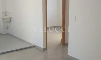 Imagem: Apartamento - Jardim Esmeraldina - Campinas