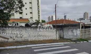 Imagem 2: São Paulo - Terreno Padrão - Vila Prudente