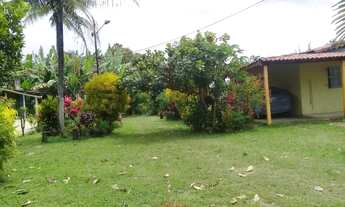 Imagem: Sítio em siriri