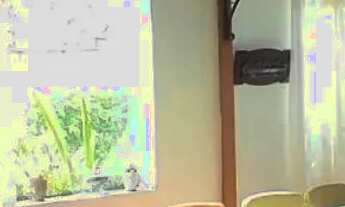 Imagem: Casa de condomínio em Alameda dos Pombos