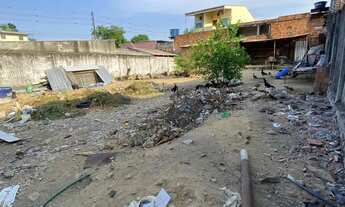 Imagem 6: Lote plano medindo 15x30 no Cj Jardim do Eden