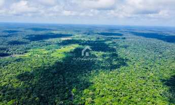 Imagem 5: Sítio Ramal do Banco, Rio Preto com Nascente