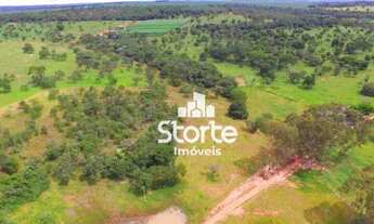 Imagem 2: Fazenda à venda com 217,80 hectares (45 alqueires) por R$ 9.450.000 - Município de Campina