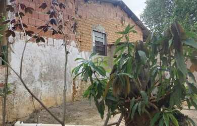 Imagem 3: Chácara DF Planaltina Pedra Fundamental IFB Córrego do Meio