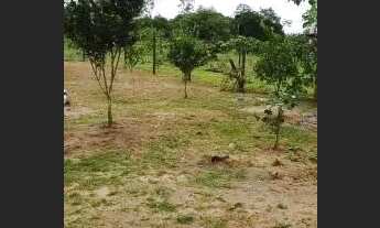 Imagem: Vendo sítio em Iuna