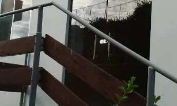 Imagem 7: ? Casa para Alugar em Piedade