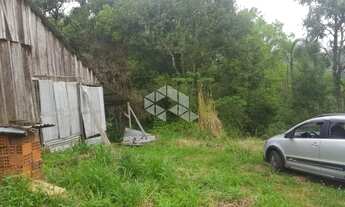 Imagem 5: Sitio em Linha Olinda