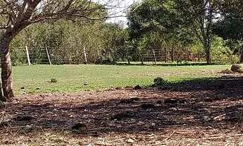 Imagem: Vendo pesqueiro lote no pantanal MT