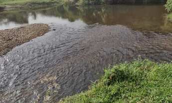 Imagem 3: Fazendinha 14 alqueires