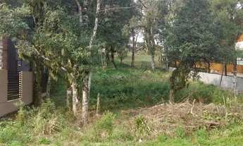 Imagem 3: Terreno em Gramado