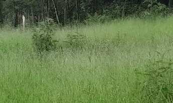 Imagem: Terreno em ótima localização