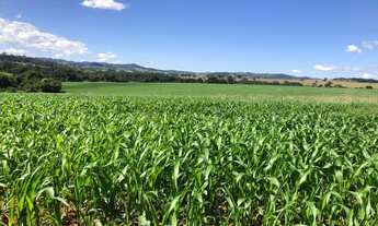 Imagem 3: 25.5 alqueires em Itaberai