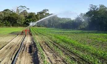 Imagem 4: Chácara 10.63há em Santo Antônio do Leverger