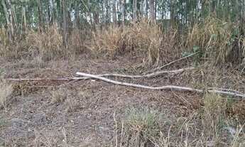 Imagem: Area Comercial (A Venda