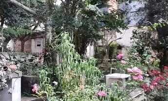 Imagem 4: TERRENO - SANTO ANTÔNIO - SP