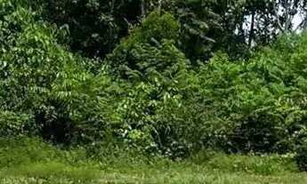 Imagem 7: Vendo Lote 660m2 Chácaras Maiápolis