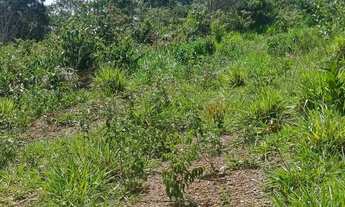 Imagem 4: Vende-se chácara de 2,500 metros quadrados