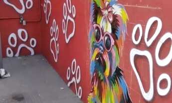 Imagem 3: COMERCIAL - VILA BUTANTÃ - SP