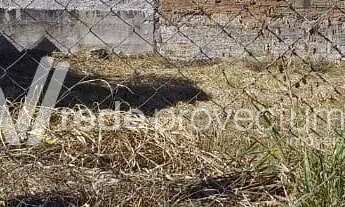 Imagem 6: Terreno - Vila Nogueira - Campinas