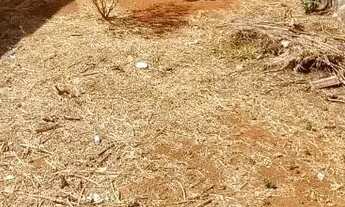 Imagem 7: Lote Murado e Plano à Venda Jardim das Rosas