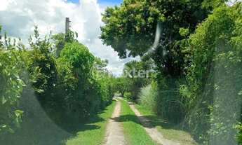 Imagem 6: Casa à venda Estrada Otaviano José Pinto, Lami - Porto Alegre