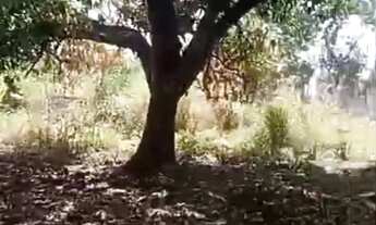 Imagem 6: Terreno 583m² em Goiânia - Ideal para Casa ou Chácara Urbana, com Córrego nos