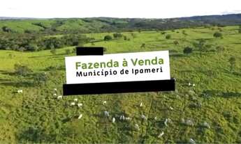 Imagem 2: FAZENDA DE 94 ALQUERES PEOXKMO A IPAMERI - Caldas Novas - GO