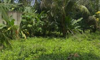 Imagem 2: Terrenos Planos em Vargem Grande 110 mts2 Documentos ok Financiado