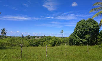 Imagem 2: Sítio em Abrantes