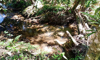 Imagem: Chácara com local para lago casa simples