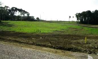 Imagem: São Valentim - Terreno Padrão - Centro