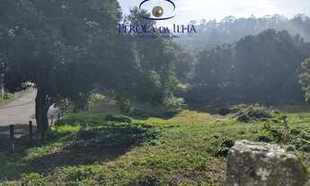 Imagem 4: LINDO TERRENO NO JOÃO PAULO