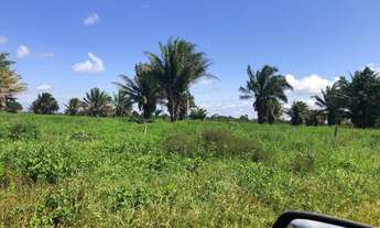 Imagem 2: Fazenda na região de Comodoro de Dupla aptidão